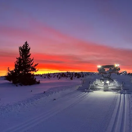 Bualie Golsfjellet * Gol