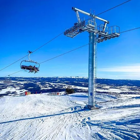 Appartement Bualie Golsfjellet