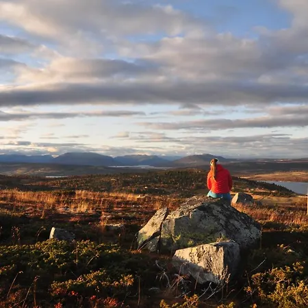 Bualie Golsfjellet Appartement Gol