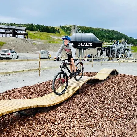 Bualie Golsfjellet Appartement *