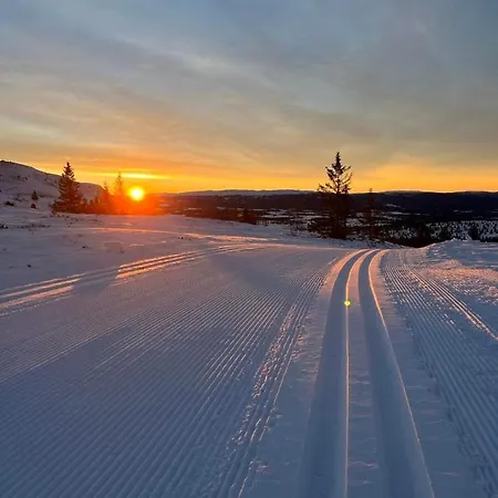 Bualie Golsfjellet * غول