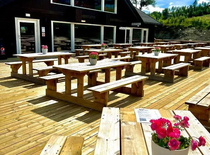 Апартаменты Bualie Golsfjellet *