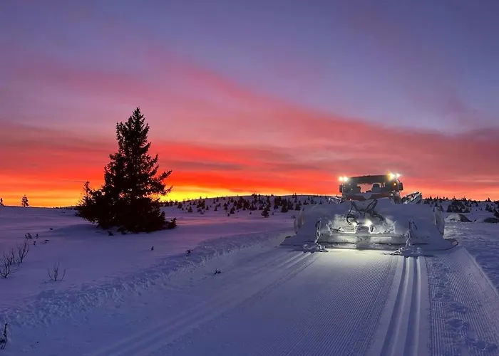Bualie Golsfjellet * Гуль