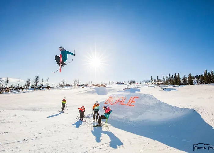 Bualie Golsfjellet Апартаменты