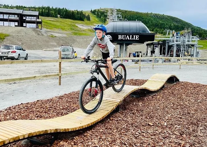 Bualie Golsfjellet Апартаменты *