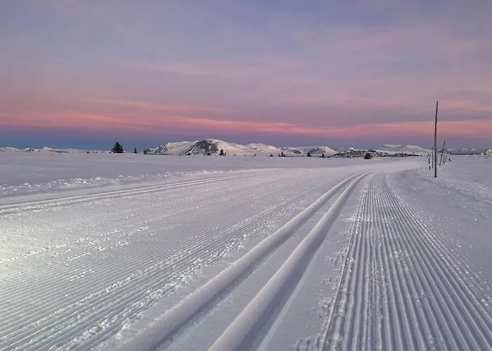 Bualie Golsfjellet Апартаменты *