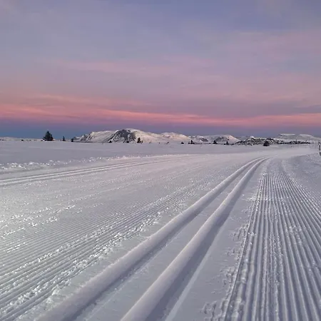 Bualie Golsfjellet Διαμέρισμα *