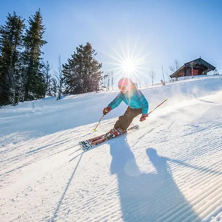 Bualie Golsfjellet *